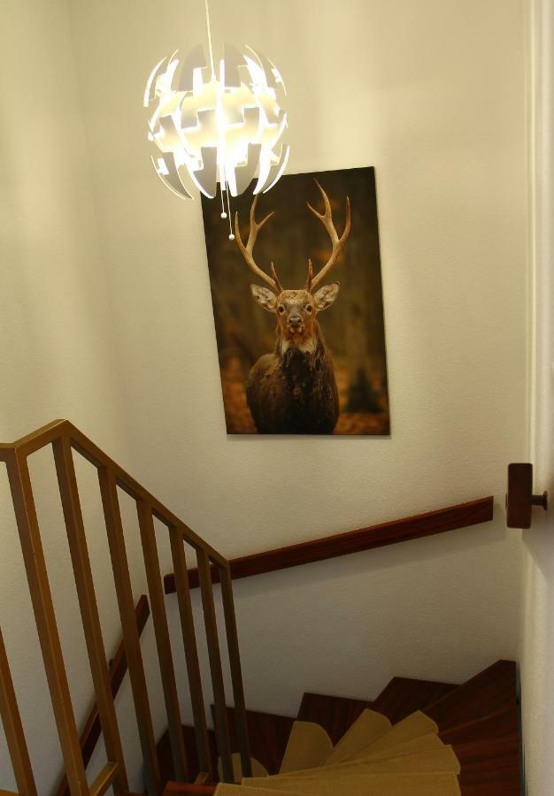 Waldblick Apartment